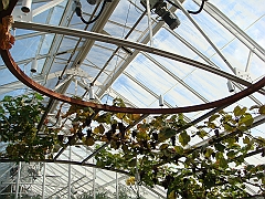 333 Longwood Gardens [2008 August 23]